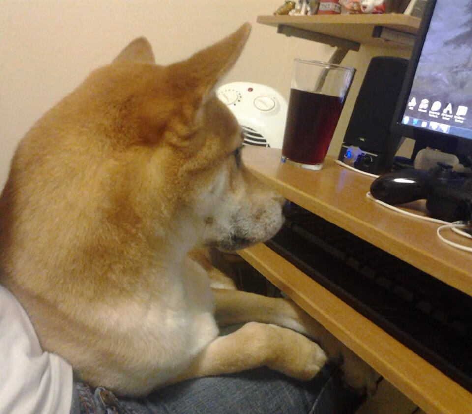 中国香港队的未来挑战：如何在国际乒乓赛事中逐渐崭露头角，乒乓球香港队